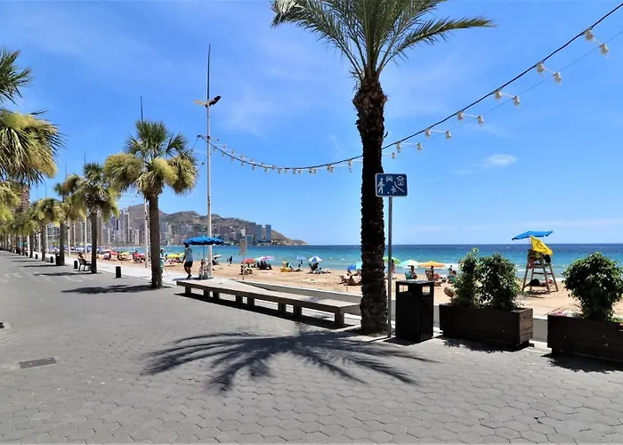 Alameda Beach Centro *